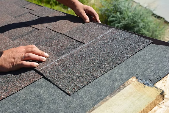 Asphalt Shingles- florida