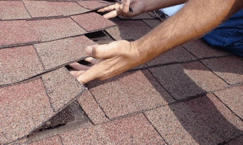roof-inspection-florida roof-inspection-florida